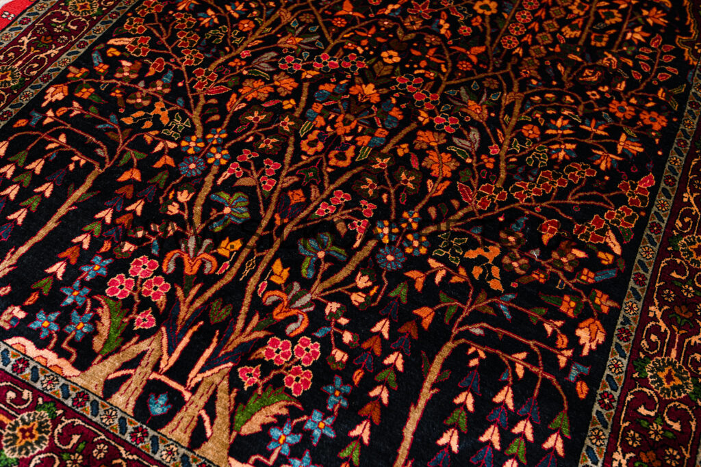 Tree_of_life_double_sided